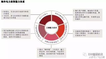 海外電力投資 趨勢(shì)、挑戰(zhàn)與資產(chǎn)管理新思路